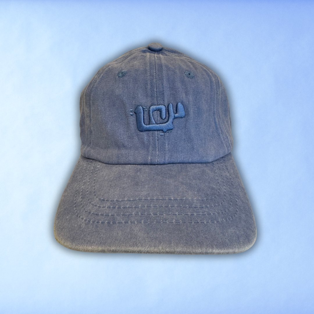 Unusual Wonders Washed Unisex Logo cap - Unusual Wonders